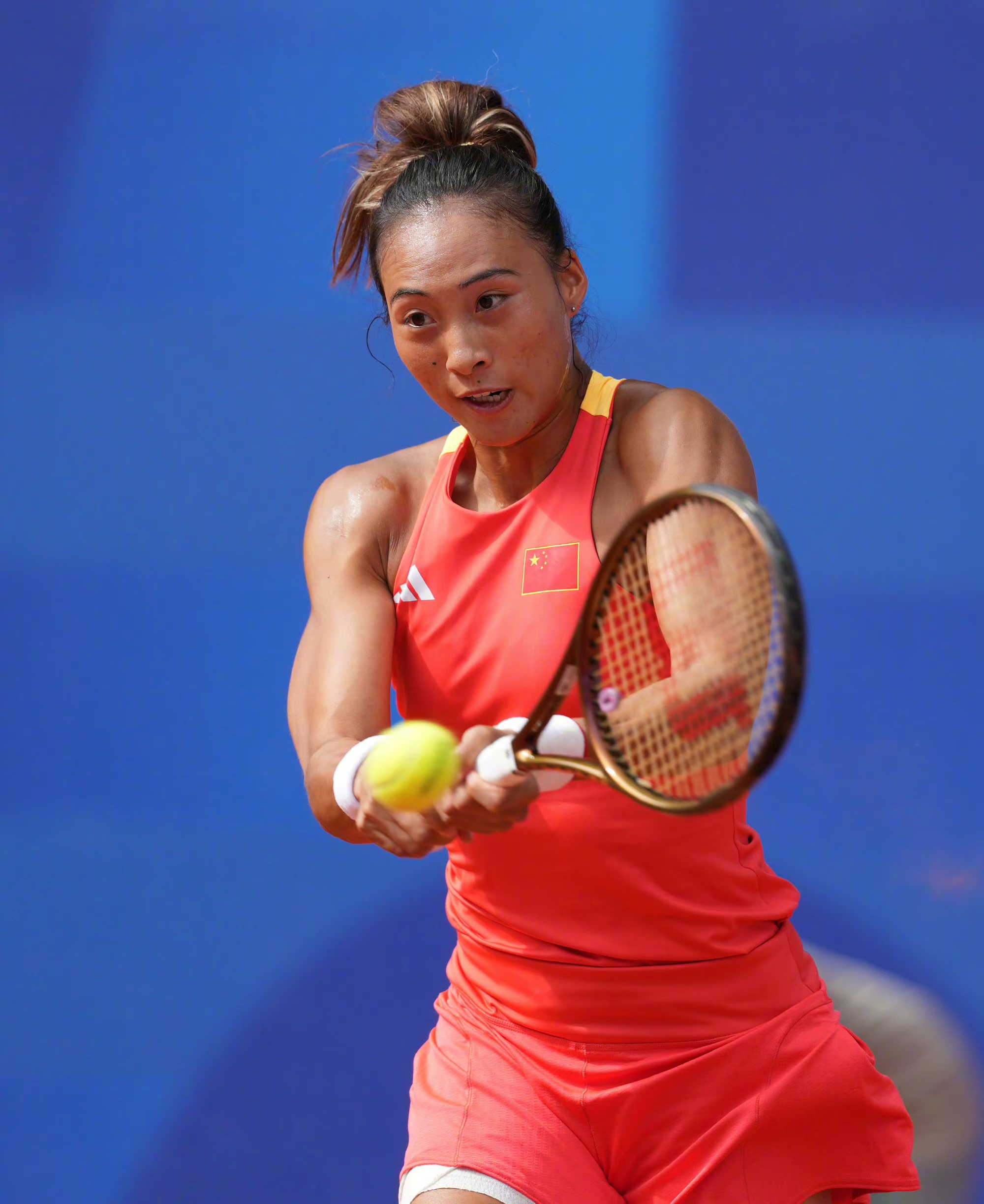 拉菲尼亚的 拉菲尼亚的